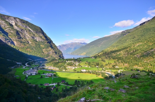弗洛姆