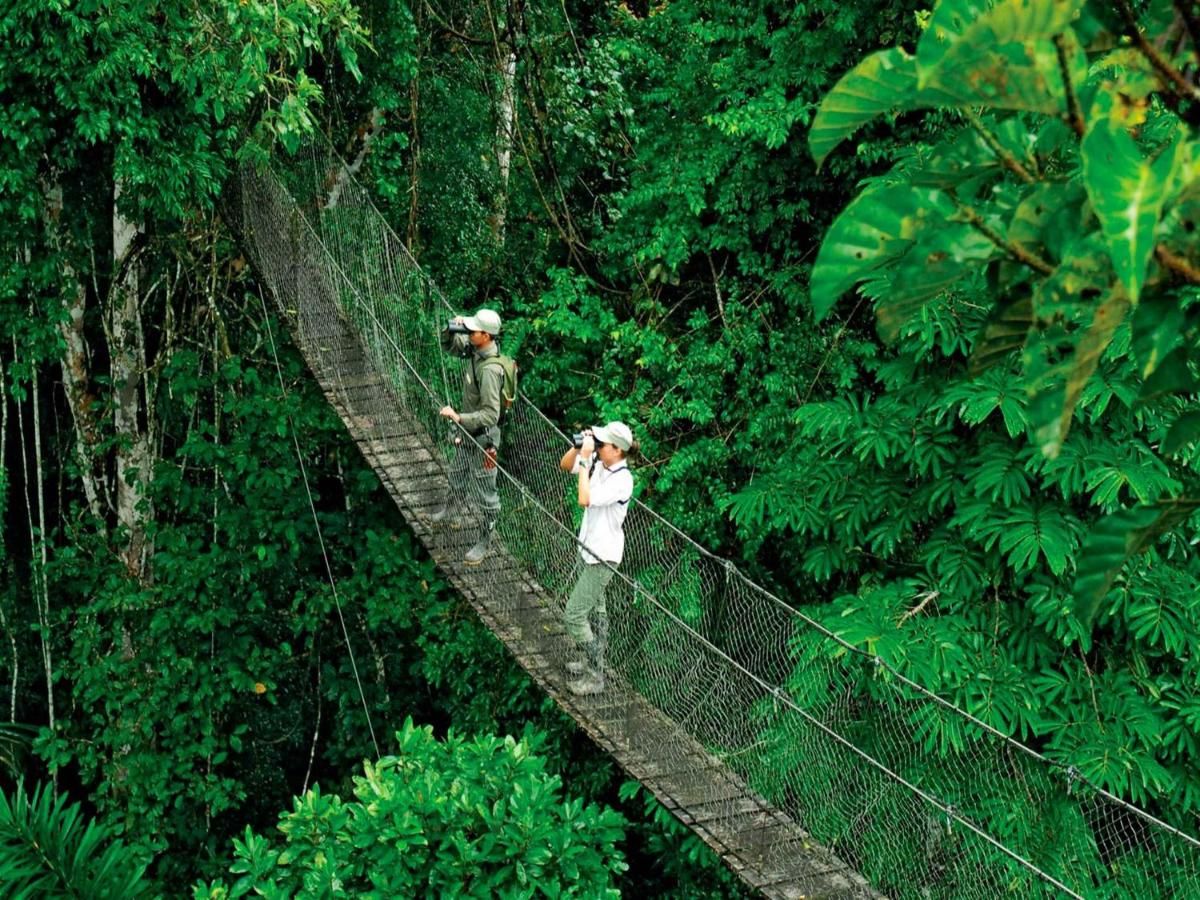 因卡特拉山树冠走道